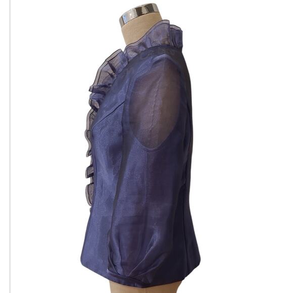 Alex Evenings Sheer Sleeve Shimmery Ruffle V-Neck Top Blouse Sz M Purple Dressy - Picture 2 of 11